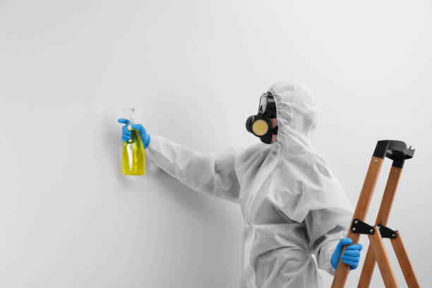 Cannelton, IN Mold Removal Services Company